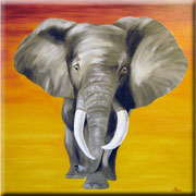 Elefant